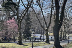 Central Park, New York 88