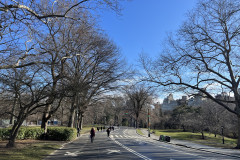 Central Park, New York 89