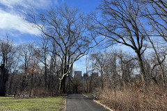 Central Park, New York 92