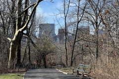 Central Park, New York 93