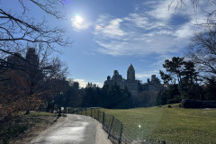 Central Park, New York 95