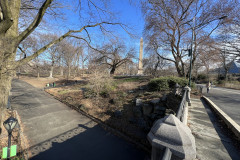 Central Park, New York 98