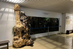 Centrul Muzeal Ecoturistic Delta Dunării 06