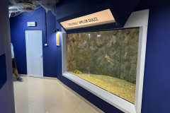 Centrul Muzeal Ecoturistic Delta Dunării 76