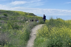 Cetatea Argamum de la Capul Dolosman 33