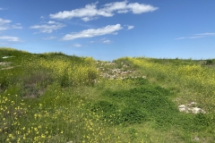 Cetatea Argamum de la Capul Dolosman 73