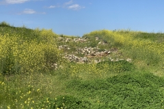 Cetatea Argamum de la Capul Dolosman 74