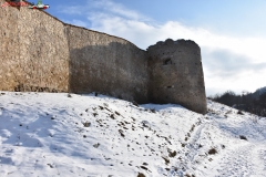 Cetatea Bologa 70