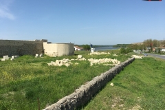 Cetatea Capidava 40