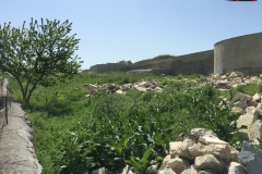 Cetatea Capidava 48
