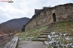Cetatea Cisnadioara 108