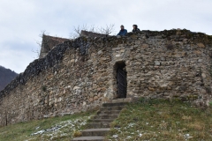 Cetatea Cisnadioara 114