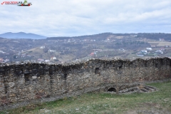 Cetatea Cisnadioara 62