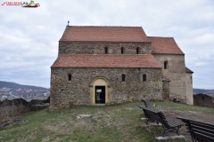 Cetatea Cisnadioara 68