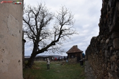 Cetatea Cisnadioara 77