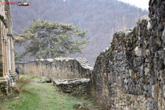 Cetatea Cisnadioara 91