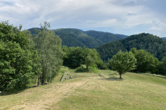 Cetatea Dacică Costești 15