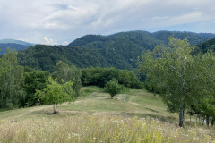 Cetatea Dacică Costești 18