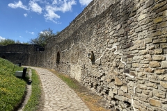 Cetatea de Scaun a Sucevei 163