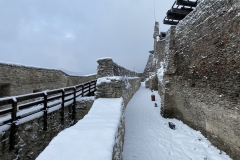 Cetatea Devei iarna 49