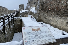 Cetatea Devei iarna 50