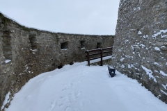 Cetatea Devei iarna 66