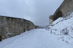 Cetatea Devei iarna 93