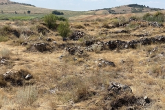 Cetatea Dinogetia 19