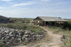 Cetatea Romana de la Halmyris 40