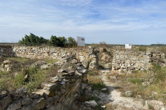 Cetatea Romana de la Halmyris 63