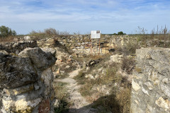 Cetatea Romana de la Halmyris 65