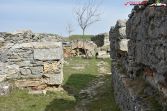 Cetatea Histria 159