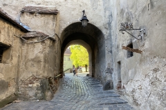 Cetatea Medievala Sighisoara 101