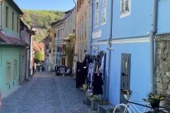 Cetatea Medievala Sighisoara 110