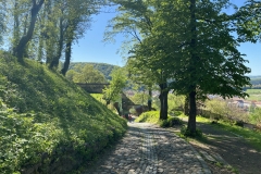 Cetatea Medievala Sighisoara 47