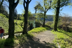 Cetatea Medievala Sighisoara 49