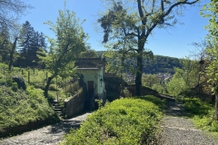 Cetatea Medievala Sighisoara 50