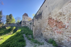 Cetatea Medievala Sighisoara 63