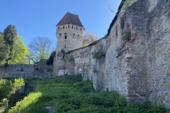 Cetatea Medievala Sighisoara 64