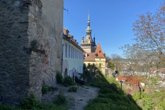 Cetatea Medievala Sighisoara 65