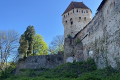 Cetatea Medievala Sighisoara 67