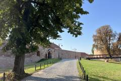 Cetatea Oradea 03