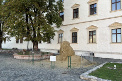 Cetatea Oradea 41
