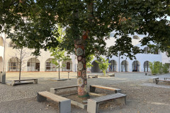 Cetatea Oradea 51