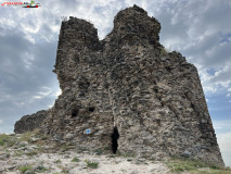 Cetatea Șiria 30