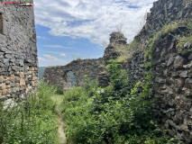 Cetatea Șoimoș 39