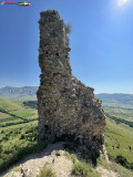 Cetatea Trascăului 17