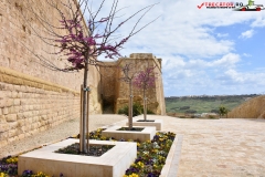 Citadela Victoria, Gozo, Malta 121