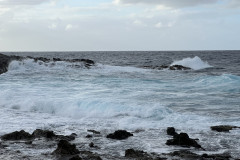 Charco de Las Palomas, Gran Canaria 16