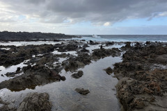 Charco de Las Palomas, Gran Canaria 19